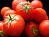 Помидоры, томаты, продаем оптом