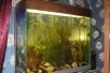 Продам полностью укомплектованный аквариум с рыбами 100литров со встроенным освещением,и кронштейном