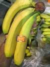 Объявление Продаем бананы из Испании