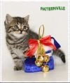 Британские котята из питомника Patternville