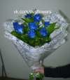 Уникальные синие розы из Голландии.