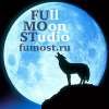 Разработка сайтов по низким ценам - Full Moon Studio